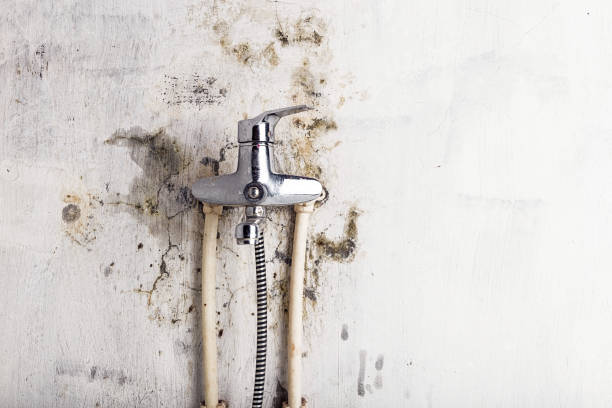 Best HVAC Mold Remediation in Mount Arlington, NJ