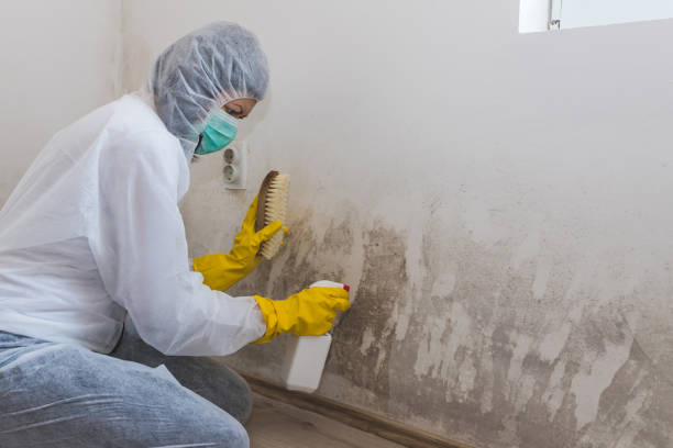 Best HVAC Mold Remediation in Mount Arlington, NJ
